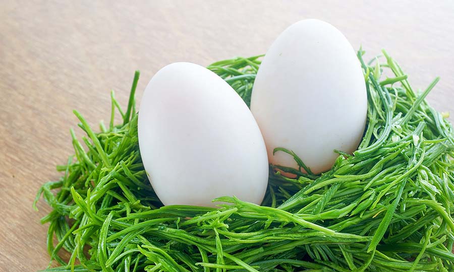 trứng ngỗng