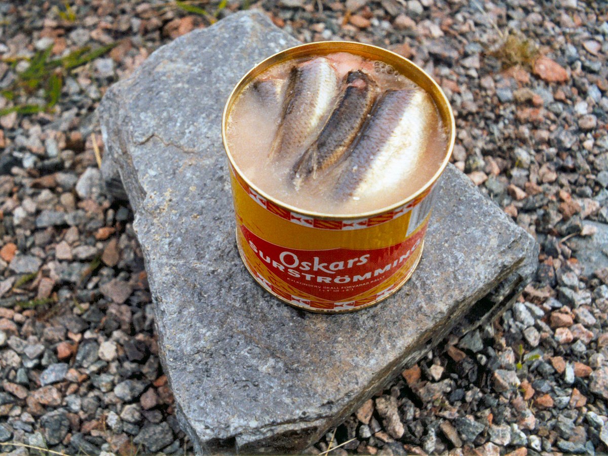 cá trích Surströmming